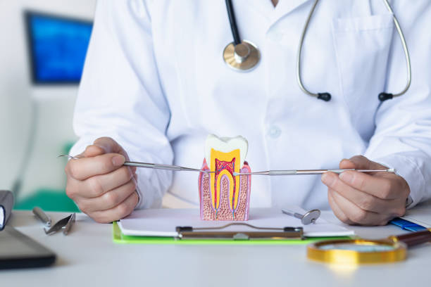 Best Pediatric Emergency Dentist in Barnum Island, NY